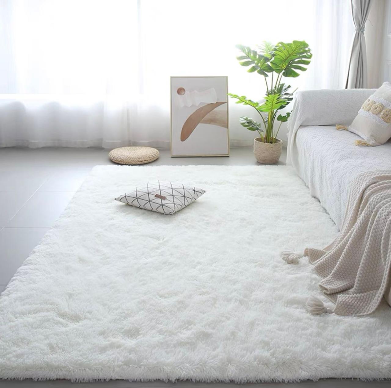Fuzzy Carpet